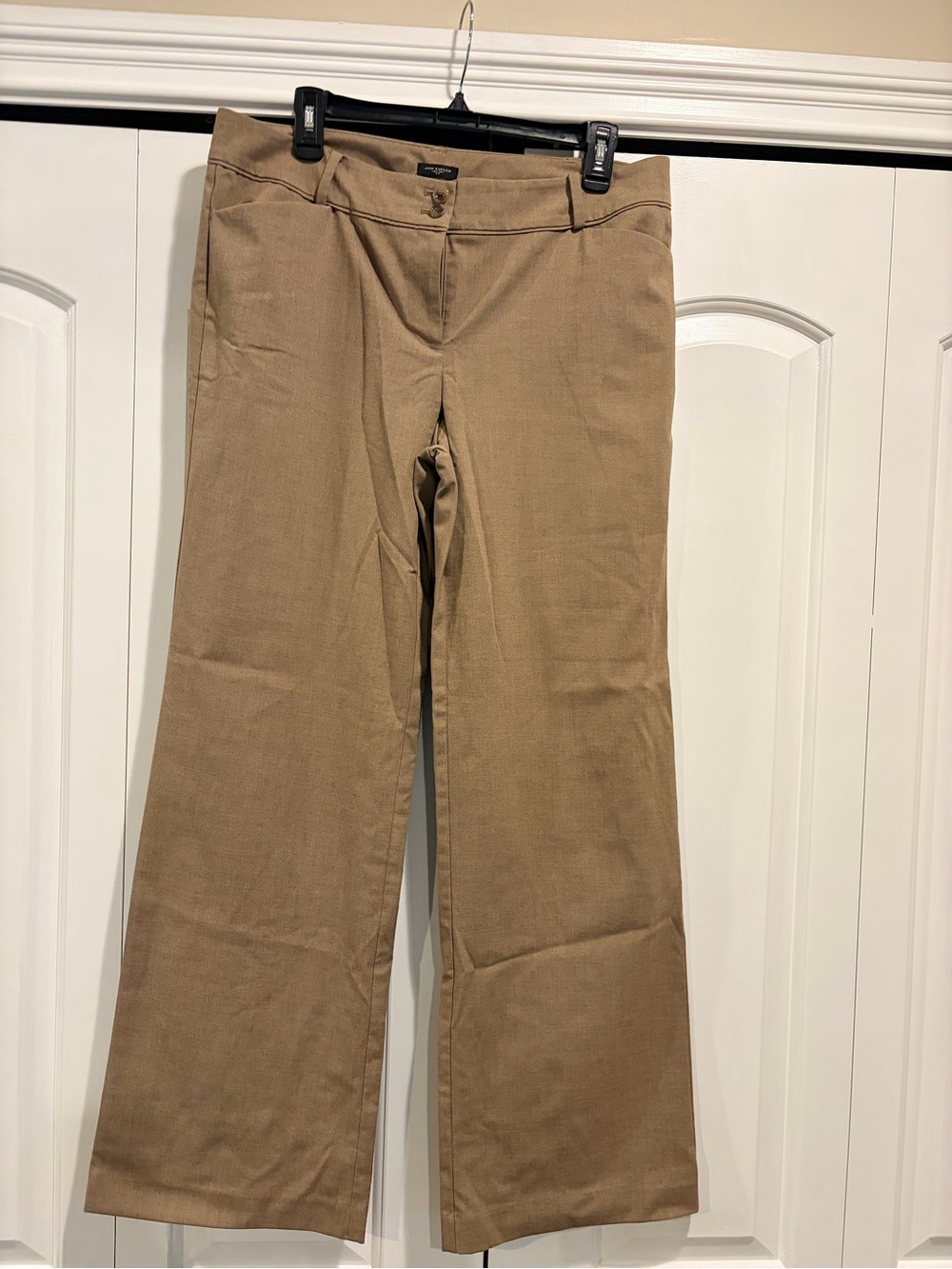 Ann Taylor Women’s Wide-Leg Dress Pants in Tan